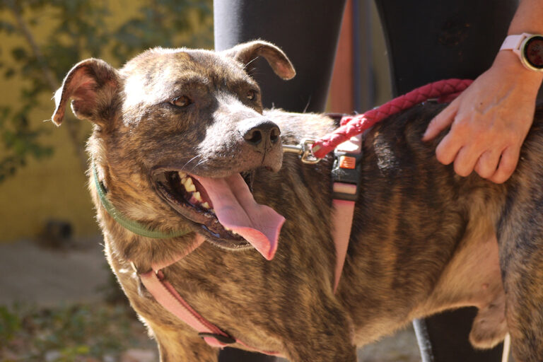 multimedia-foto84139-118-1