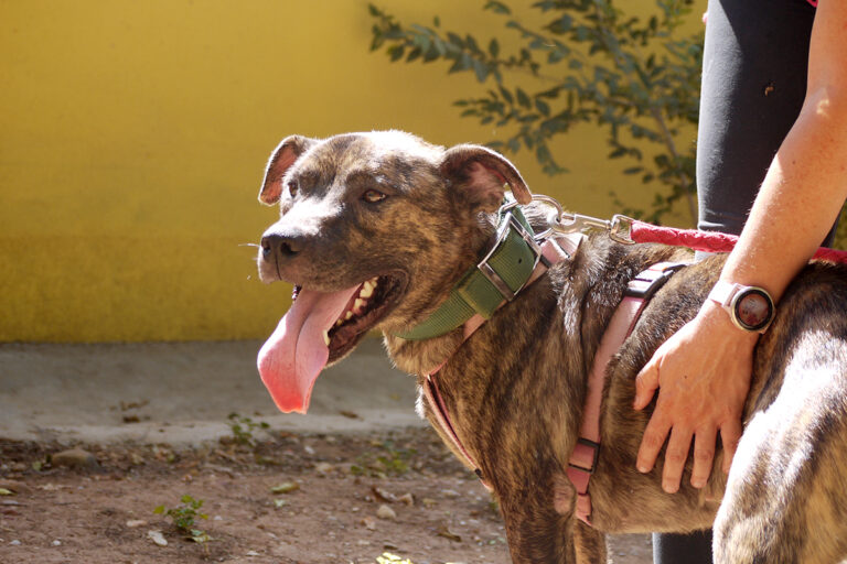 multimedia-foto84140-119-1