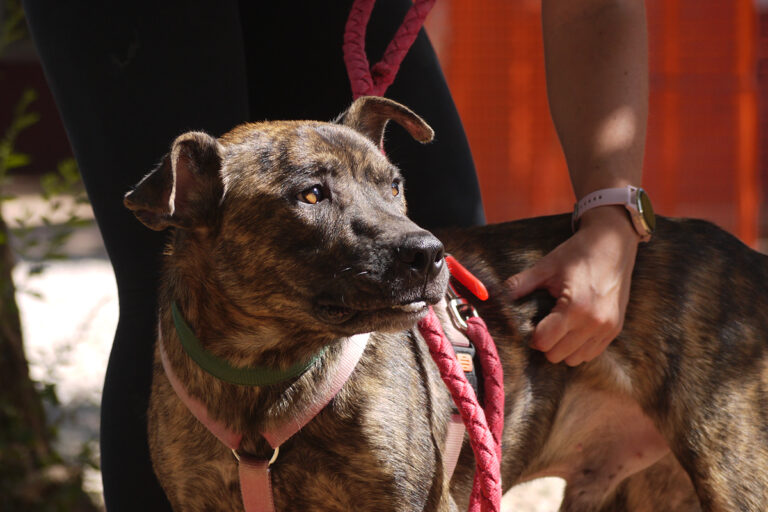 multimedia-foto84143-119-1