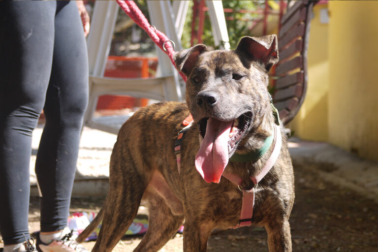 multimedia-foto84145-120-1