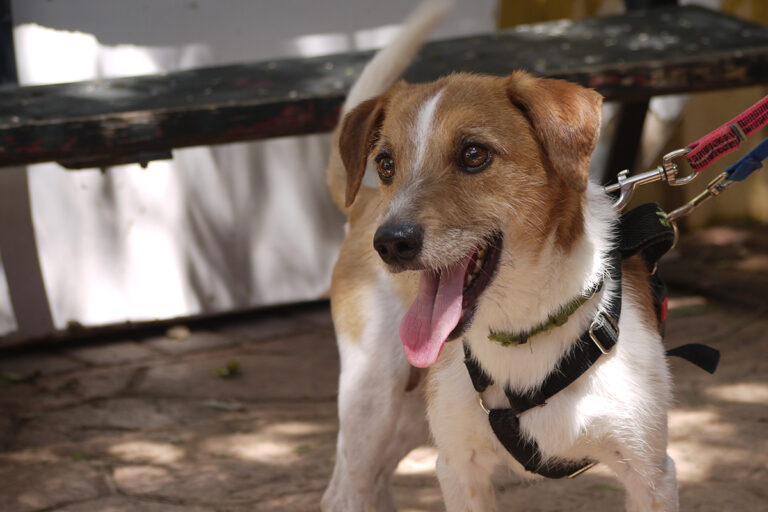 multimedia-foto84146-328-1