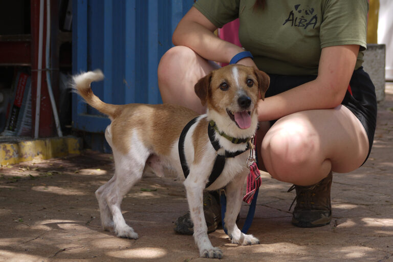 multimedia-foto84147-329-1