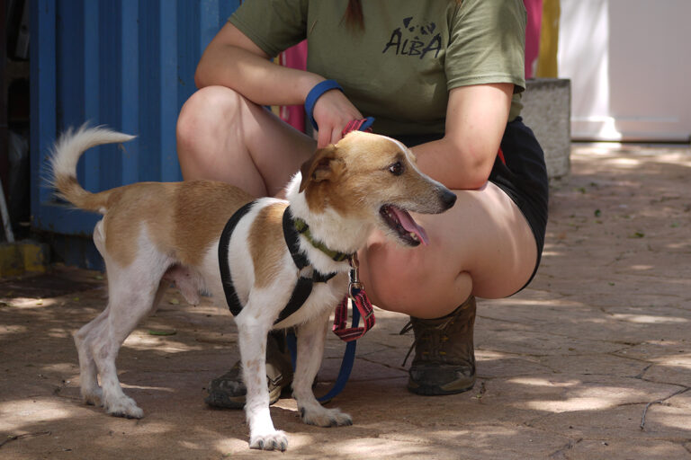 multimedia-foto84148-329-1