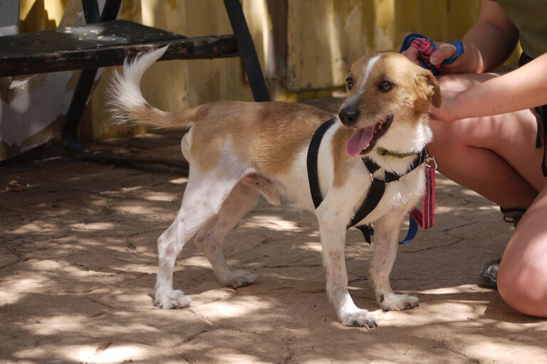 multimedia-foto84150-329-1