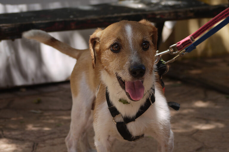 multimedia-foto84152-330-1