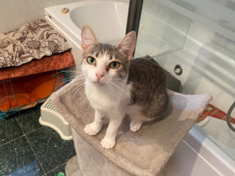 multimedia-foto84156-407-1