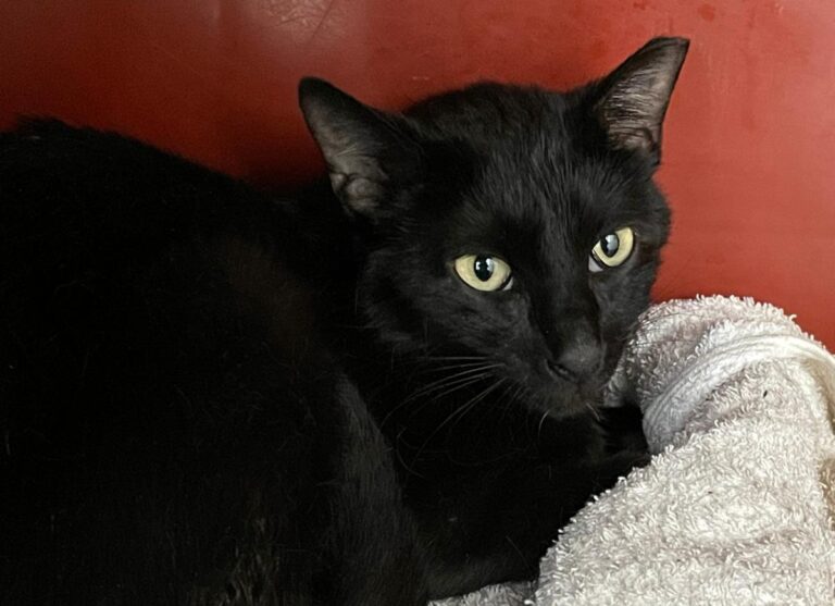 multimedia-foto84177-890-1