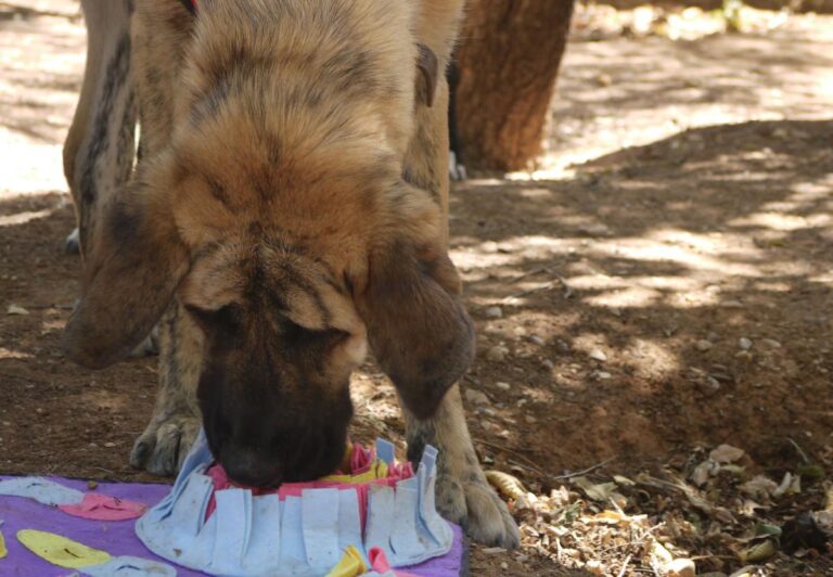 multimedia-foto84202-854-1