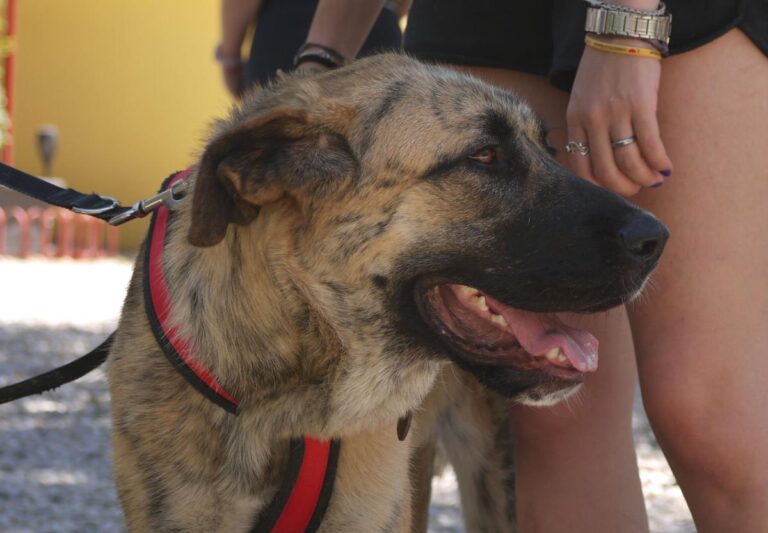 multimedia-foto84205-855-1