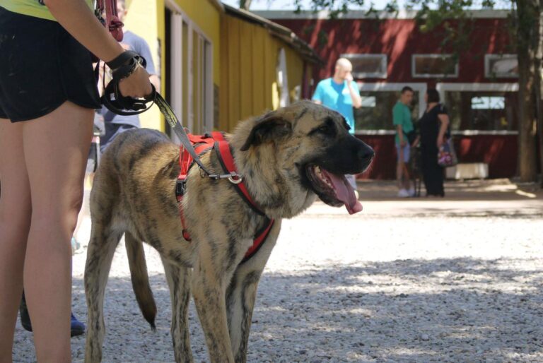 multimedia-foto84206-855-1