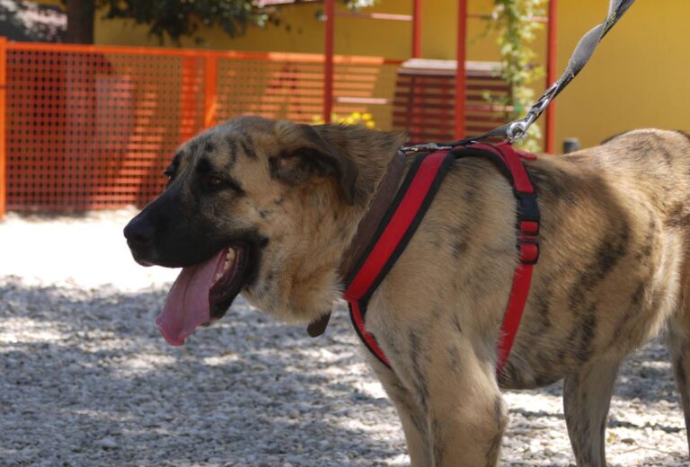 multimedia-foto84208-855-1