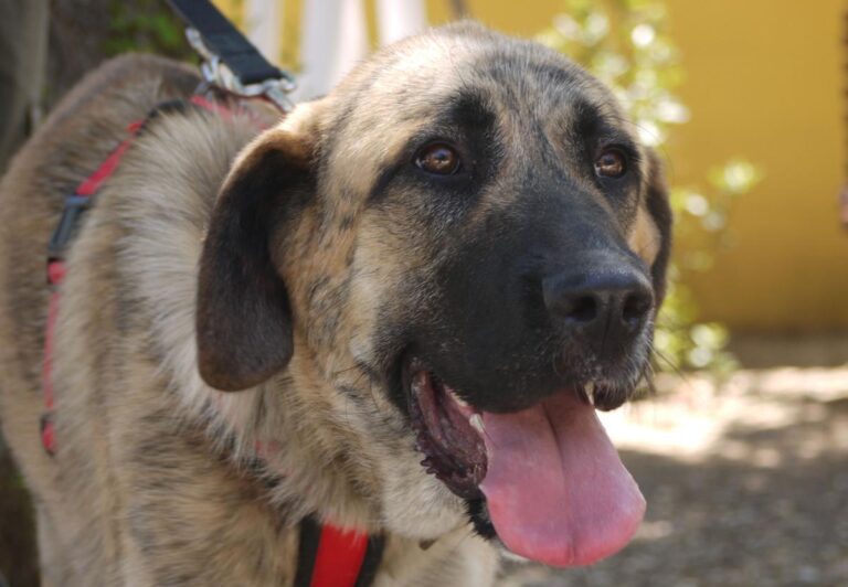 multimedia-foto84209-856-1