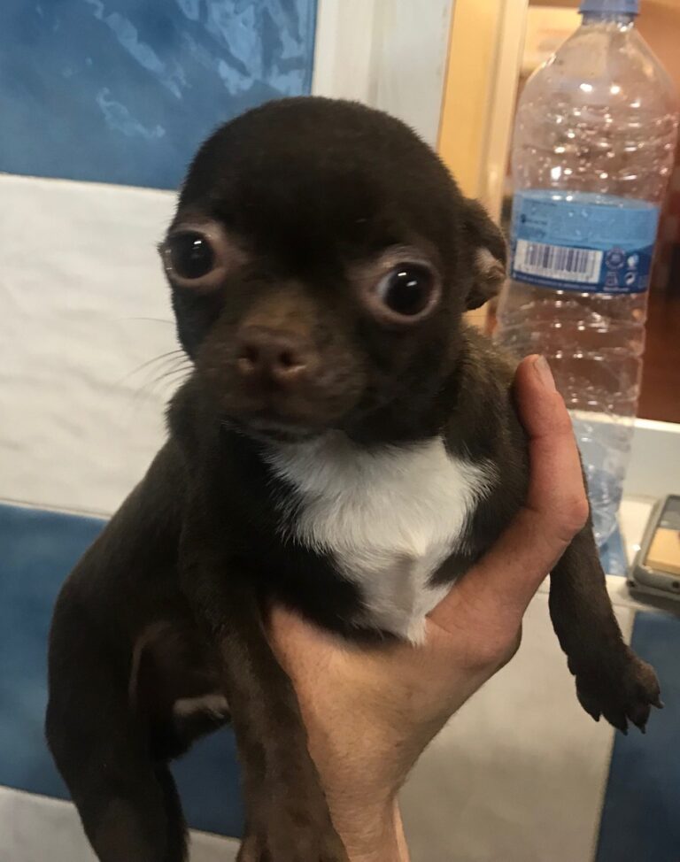 multimedia-foto84210-282-1