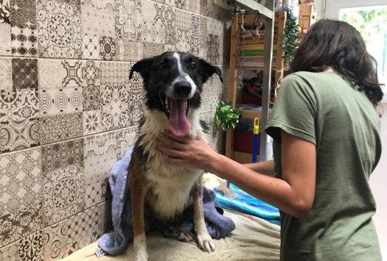 multimedia-foto84221-210-1