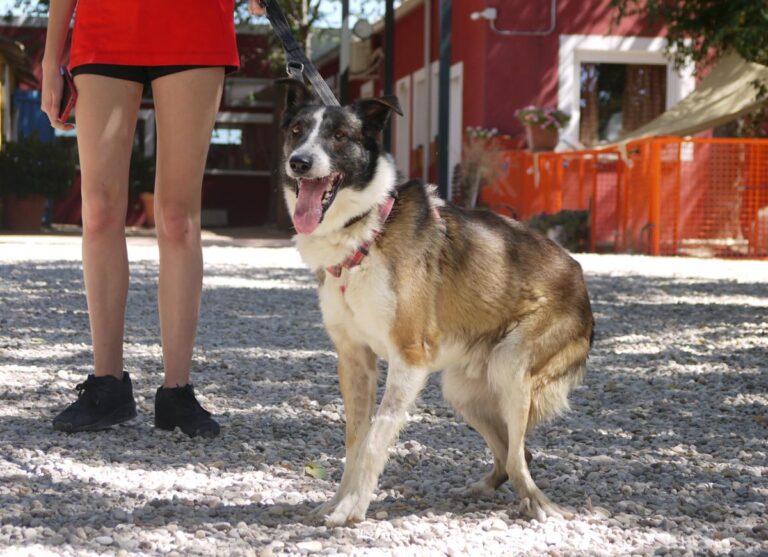 multimedia-foto84232-665-1