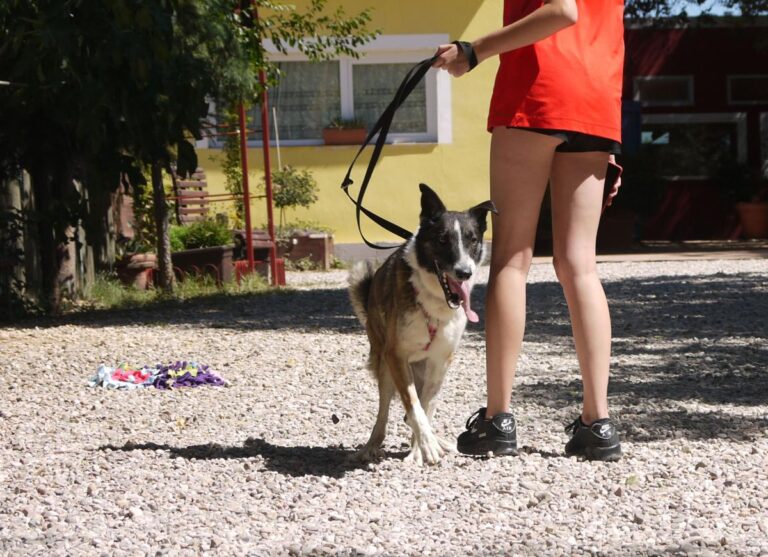 multimedia-foto84233-665-1