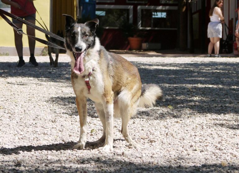 multimedia-foto84234-665-1