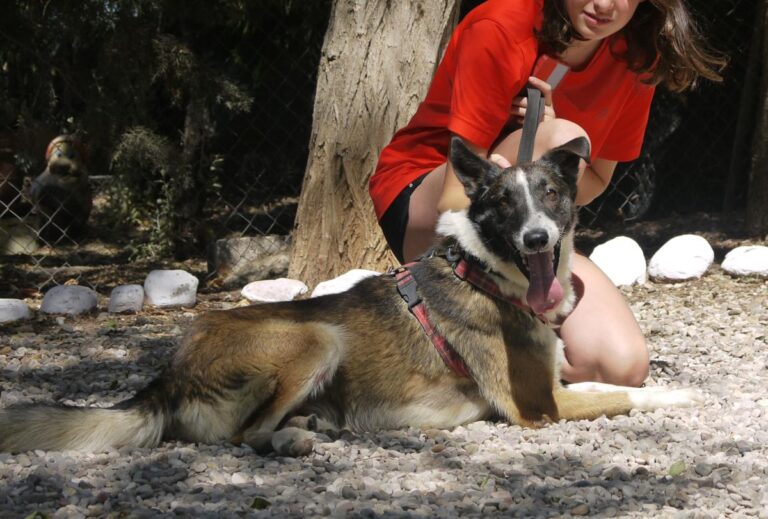 multimedia-foto84236-666-1