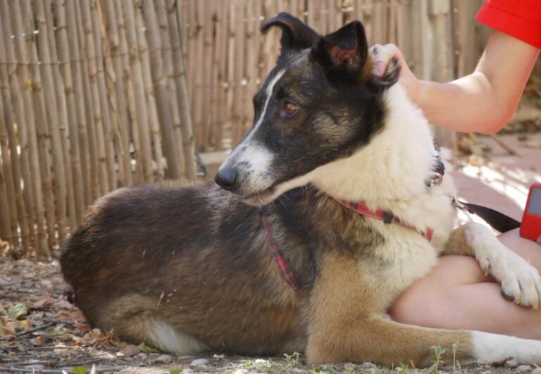 multimedia-foto84239-666-1