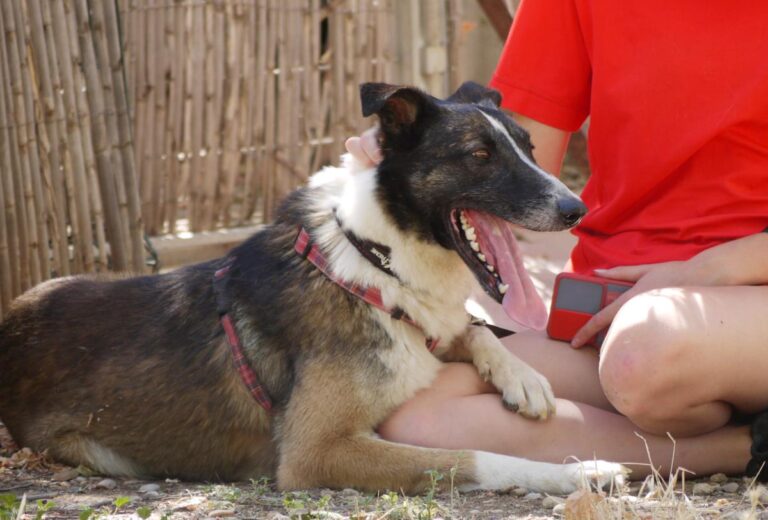 multimedia-foto84240-666-1