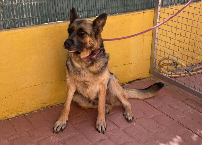 multimedia-foto84283-218-1