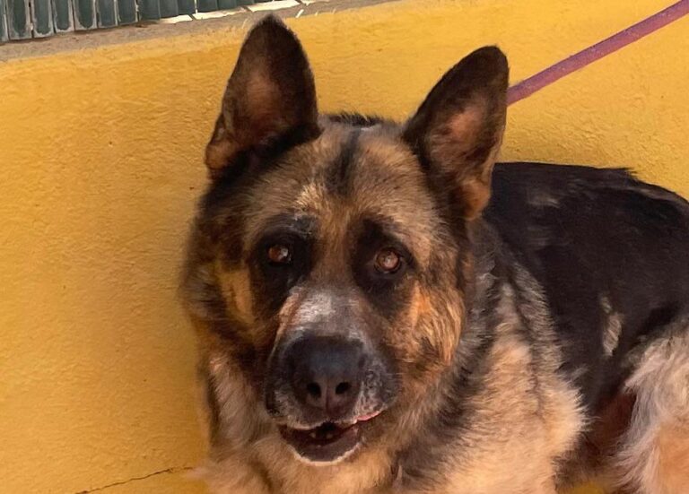 multimedia-foto84284-218-1