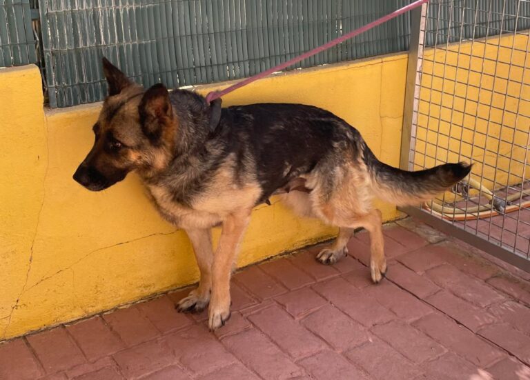 multimedia-foto84285-218-1