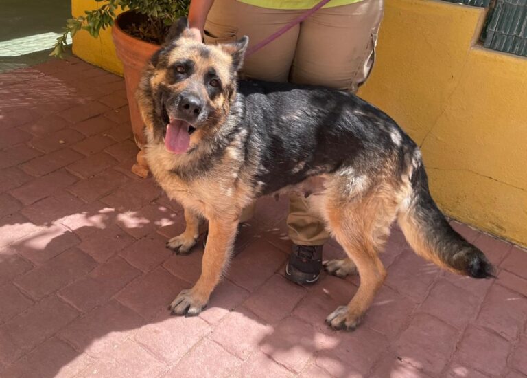 multimedia-foto84286-218-1