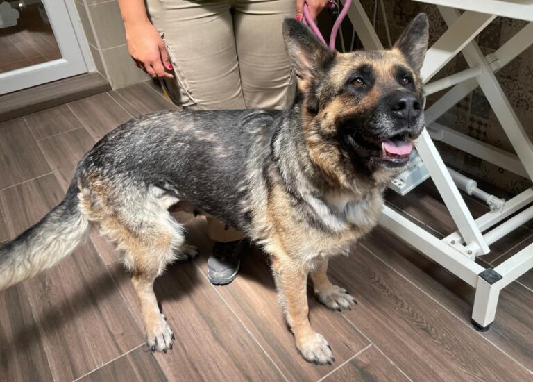 multimedia-foto84287-218-1