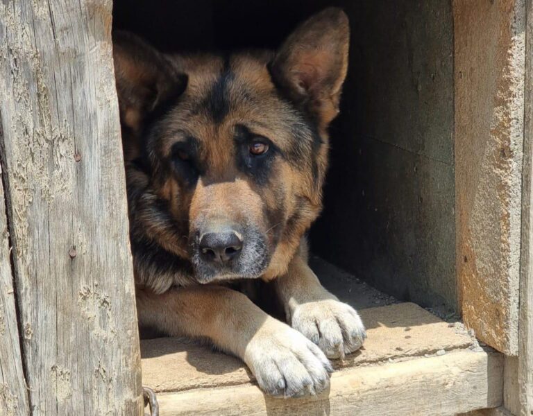 multimedia-foto84288-218-1