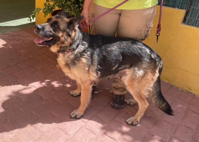 multimedia-foto84290-219-1