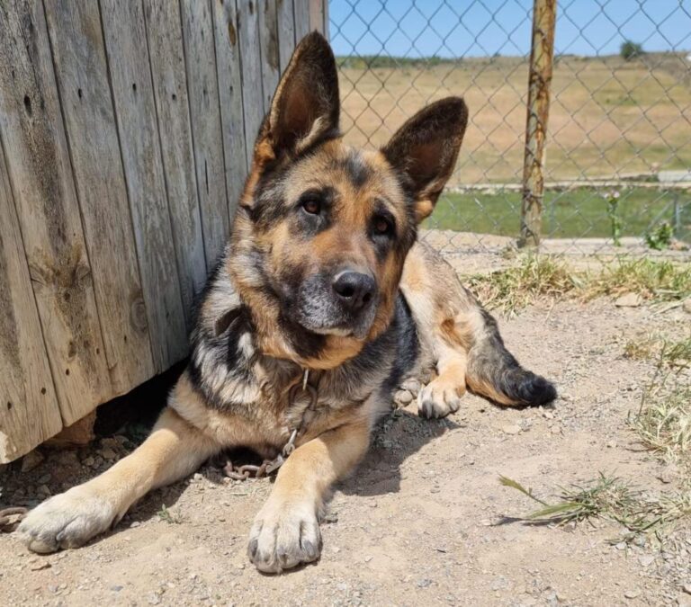 multimedia-foto84291-219-1