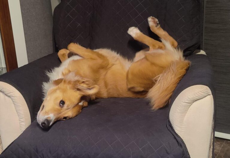 multimedia-foto84304-317-1