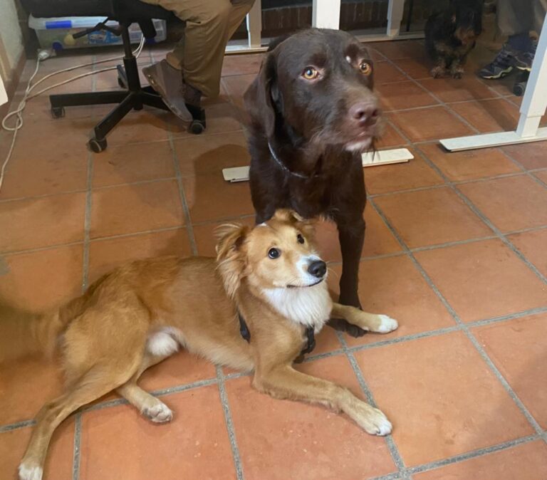 multimedia-foto84306-318-1