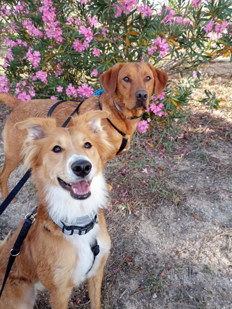 multimedia-foto84307-318-1