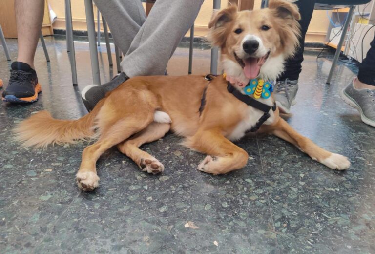 multimedia-foto84308-318-1