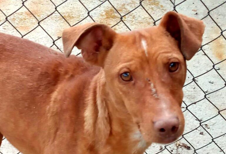 multimedia-foto84326-609-1