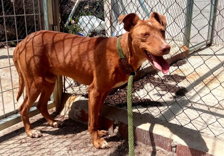 multimedia-foto84328-610-1