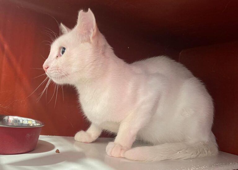 multimedia-foto84341-332-1