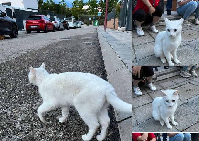 multimedia-foto84344-333-1