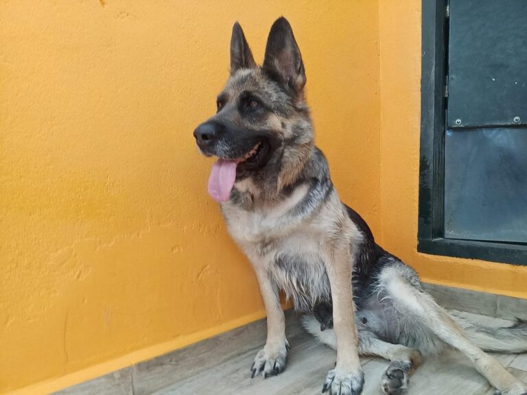 multimedia-foto84379-544-1