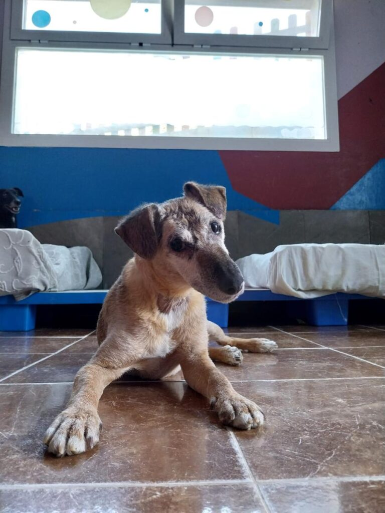 multimedia-foto84459-349-1