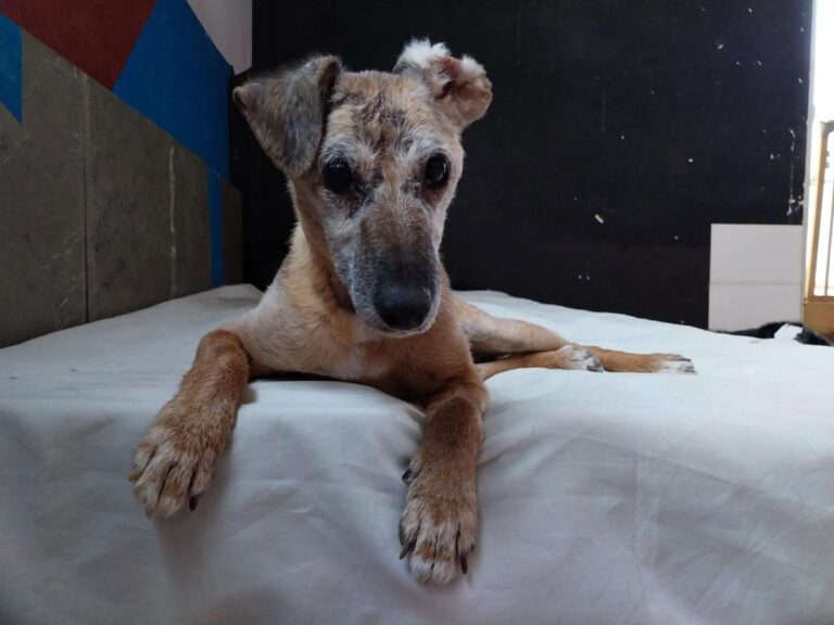 multimedia-foto84460-349-1