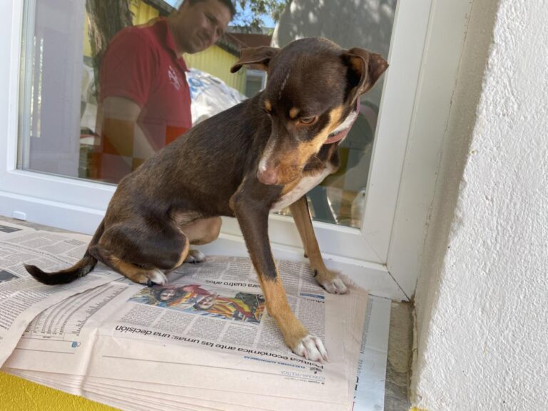 multimedia-foto84473-227-1