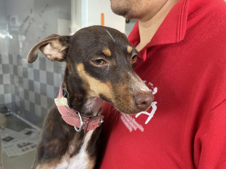 multimedia-foto84474-227-1