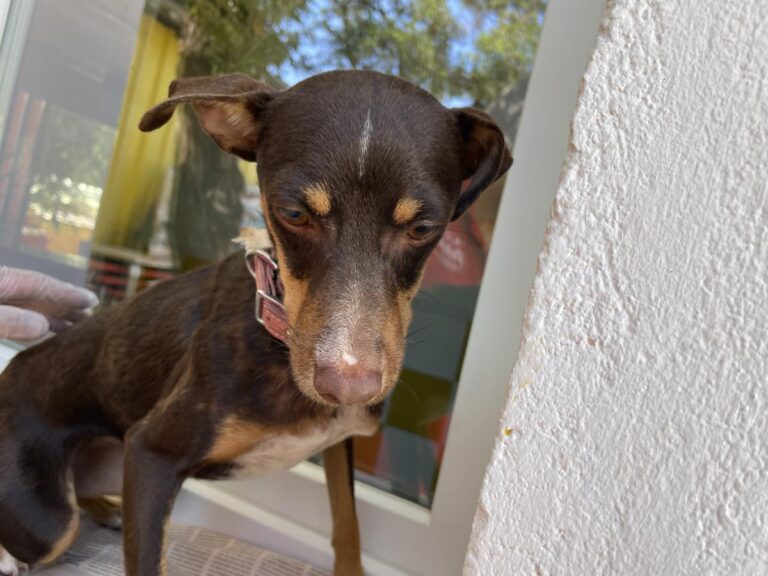 multimedia-foto84477-227-1