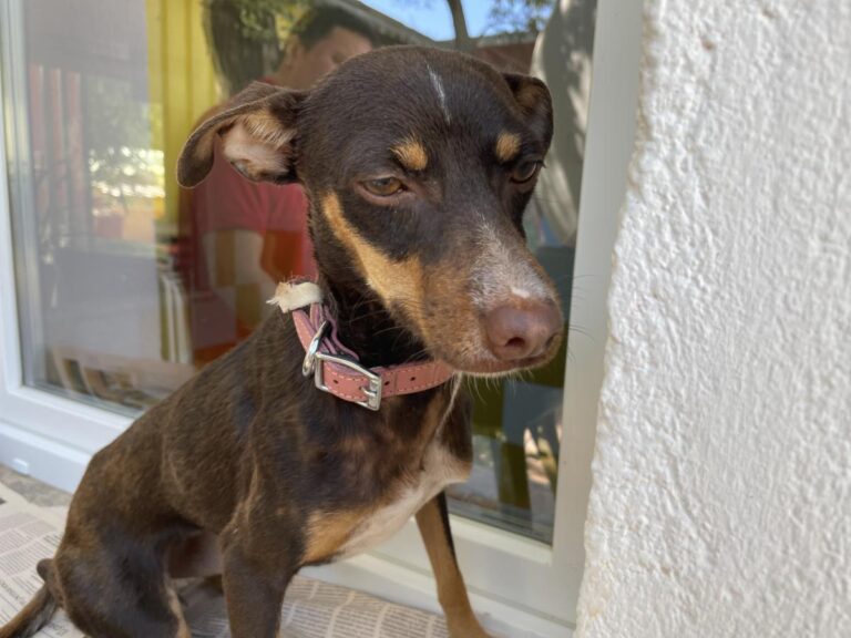 multimedia-foto84478-227-1