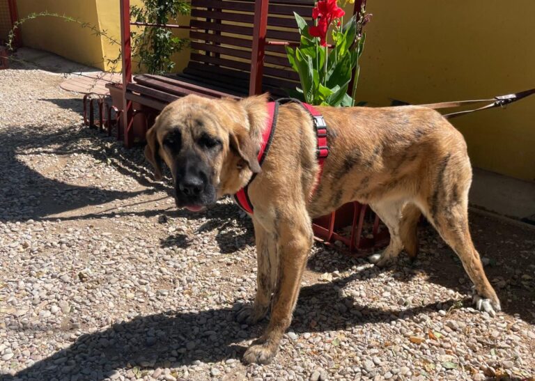 multimedia-foto84487-265-1