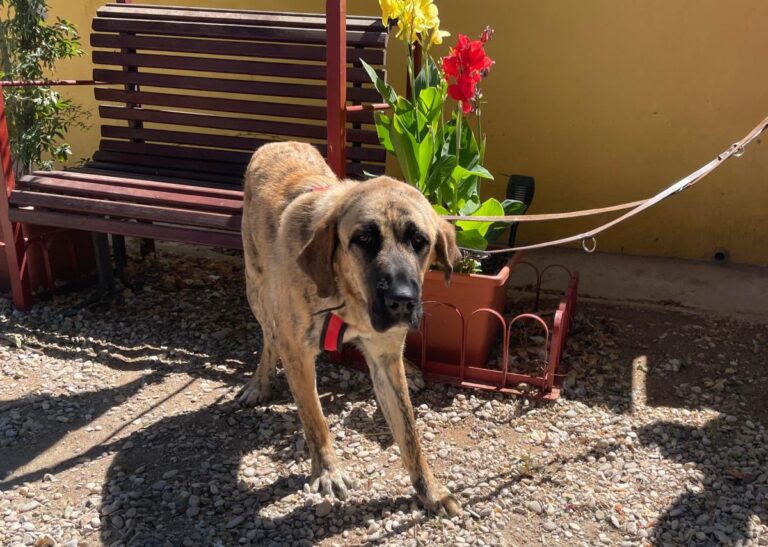 multimedia-foto84488-266-1