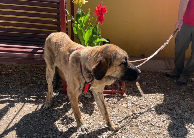 multimedia-foto84489-266-1